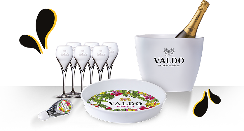 Valdo Party Kit
